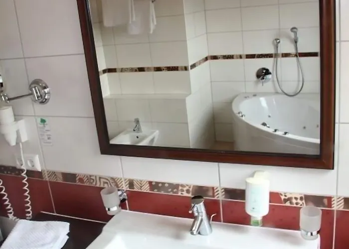 Hotel Alexandra Wels